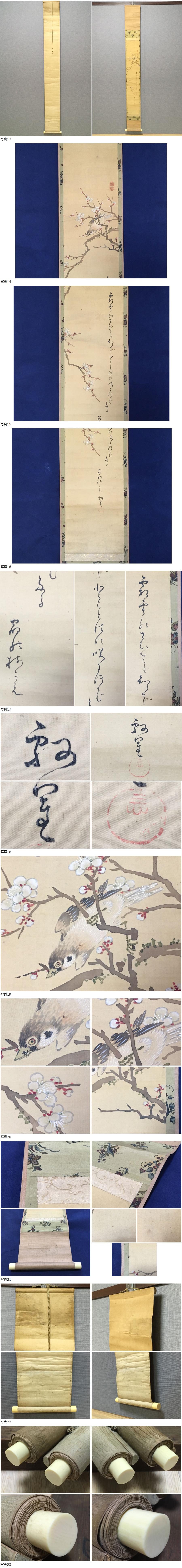 此商品圖像無法被轉載請進入原始網查看